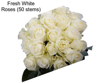 Fresh White Roses (50 stems)