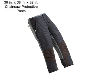 36 in. x 38 in. x 32 in. Chainsaw Protective Pants