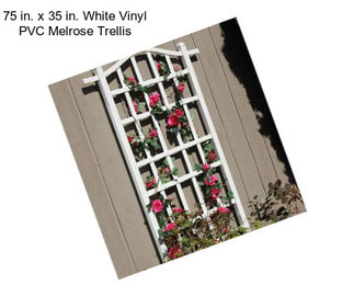 75 in. x 35 in. White Vinyl PVC Melrose Trellis