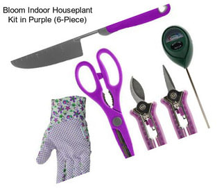 Bloom Indoor Houseplant Kit in Purple (6-Piece)