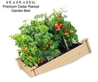 4 ft. x 4 ft. x 5.5 in. Premium Cedar Raised Garden Bed