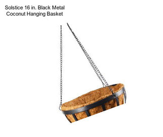 Solstice 16 in. Black Metal Coconut Hanging Basket