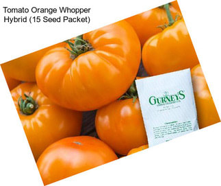 Tomato Orange Whopper Hybrid (15 Seed Packet)