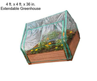 4 ft. x 4 ft. x 36 in. Extendable Greenhouse