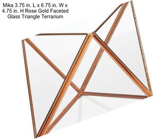 Mika 3.75 in. L x 6.75 in. W x 4.75 in. H Rose Gold Faceted Glass Triangle Terrarium