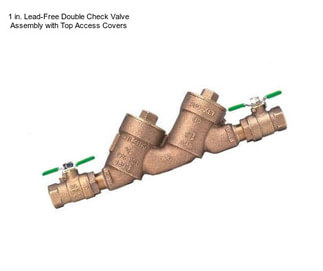 1 in. Lead-Free Double Check Valve Assembly with Top Access Covers
