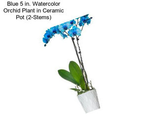 Blue 5 in. Watercolor Orchid Plant in Ceramic Pot (2-Stems)