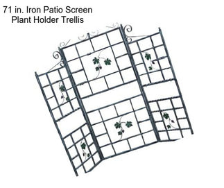 71 in. Iron Patio Screen Plant Holder Trellis