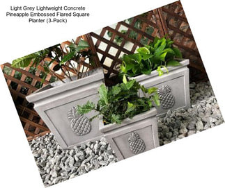 Light Grey Lightweight Concrete Pineapple Embossed Flared Square Planter (3-Pack)