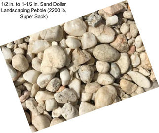 1/2 in. to 1-1/2 in. Sand Dollar Landscaping Pebble (2200 lb. Super Sack)