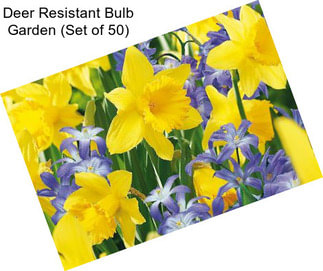 Deer Resistant Bulb Garden (Set of 50)