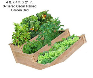 4 ft. x 4 ft. x 21 in. 3-Tiered Cedar Raised Garden Bed