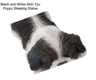 Black and White Shih Tzu Puppy Sleeping Statue