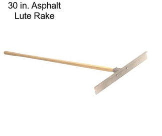 30 in. Asphalt Lute Rake