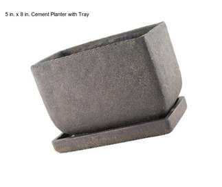 5 in. x 8 in. Cement Planter with Tray