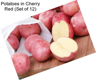 Potatoes in Cherry Red (Set of 12)