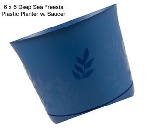 6 x 6 Deep Sea Freesia Plastic Planter w/ Saucer