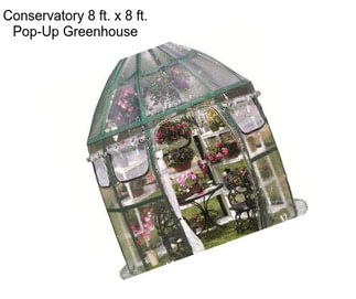 Conservatory 8 ft. x 8 ft. Pop-Up Greenhouse