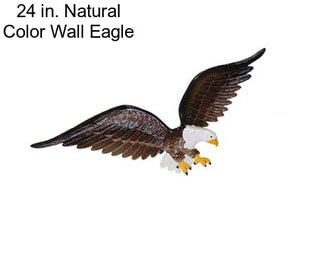 24 in. Natural Color Wall Eagle
