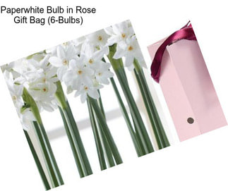 Paperwhite Bulb in Rose Gift Bag (6-Bulbs)