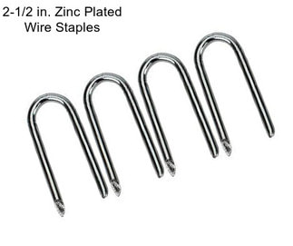 2-1/2 in. Zinc Plated Wire Staples