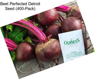 Beet Perfected Detroit Seed (400-Pack)
