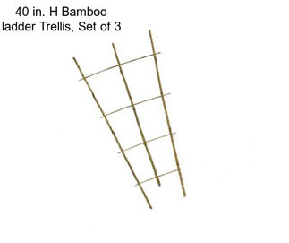40 in. H Bamboo ladder Trellis, Set of 3