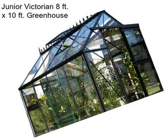 Junior Victorian 8 ft. x 10 ft. Greenhouse