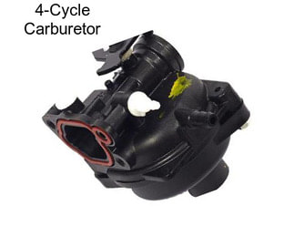 4-Cycle Carburetor