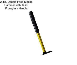 2 lbs. Double-Face Sledge Hammer with 14 in. Fiberglass Handle