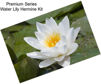 Premium Series Water Lily Hermine Kit