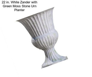 22 in. White Zander with Green Moss Stone Urn Planter