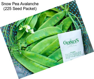 Snow Pea Avalanche (225 Seed Packet)