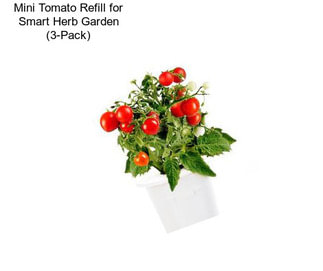 Mini Tomato Refill for Smart Herb Garden (3-Pack)