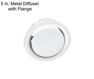 5 in. Metal Diffuser with Flange