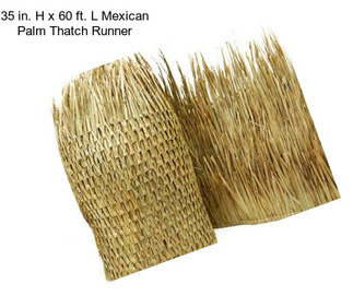 35 in. H x 60 ft. L Mexican Palm Thatch Runner