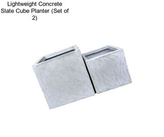 Lightweight Concrete Slate Cube Planter (Set of 2)