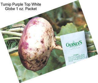 Turnip Purple Top White Globe 1 oz. Packet