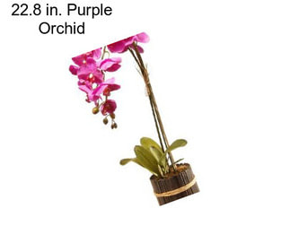 22.8 in. Purple Orchid