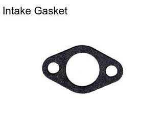 Intake Gasket