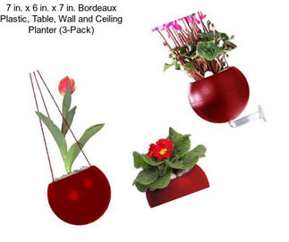 7 in. x 6 in. x 7 in. Bordeaux Plastic, Table, Wall and Ceiling Planter (3-Pack)