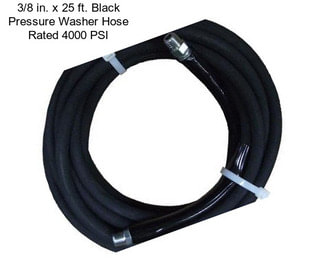 3/8 in. x 25 ft. Black Pressure Washer Hose Rated 4000 PSI