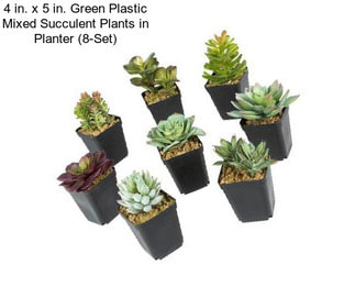 4 in. x 5 in. Green Plastic Mixed Succulent Plants in Planter (8-Set)