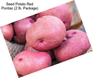 Seed Potato Red Pontiac (2 lb. Package)