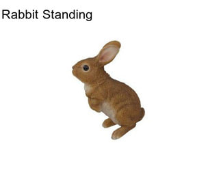 Rabbit Standing