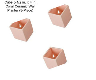 Cube 3-1/2 in. x 4 in. Coral Ceramic Wall Planter (3-Piece)