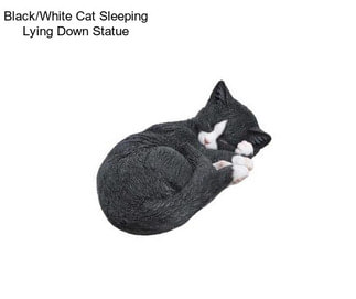 Black/White Cat Sleeping Lying Down Statue