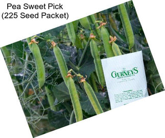 Pea Sweet Pick (225 Seed Packet)