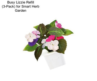 Busy Lizzie Refill (3-Pack) for Smart Herb Garden