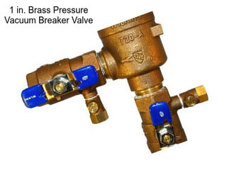 1 in. Brass Pressure Vacuum Breaker Valve